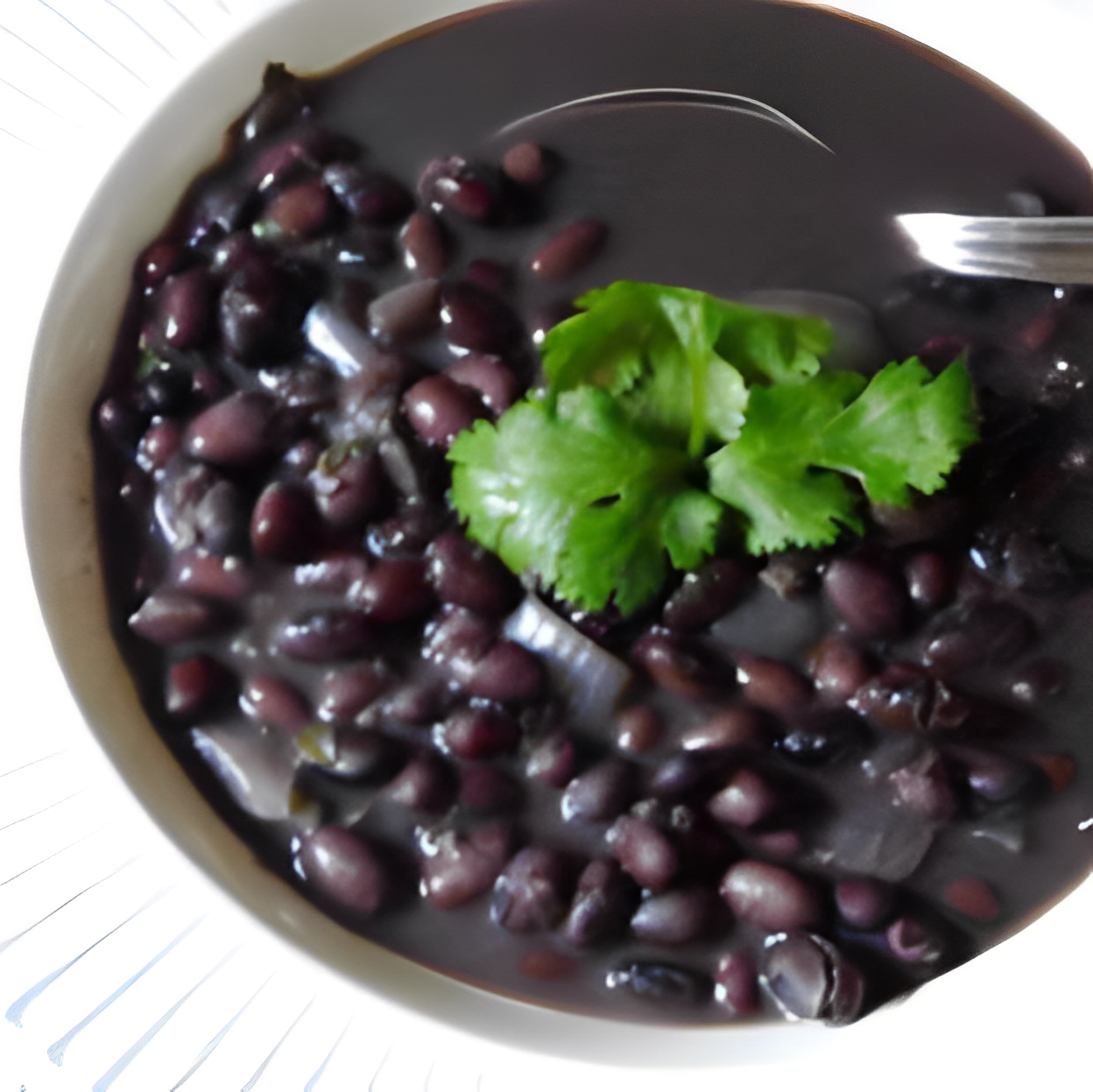 Black Bean Soup