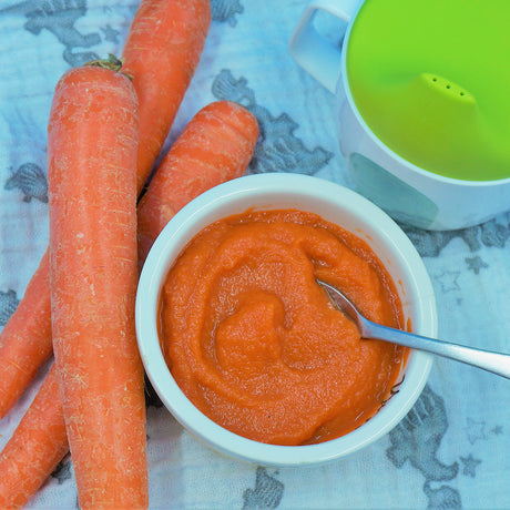 Ace Blender - Carrot Baby Food