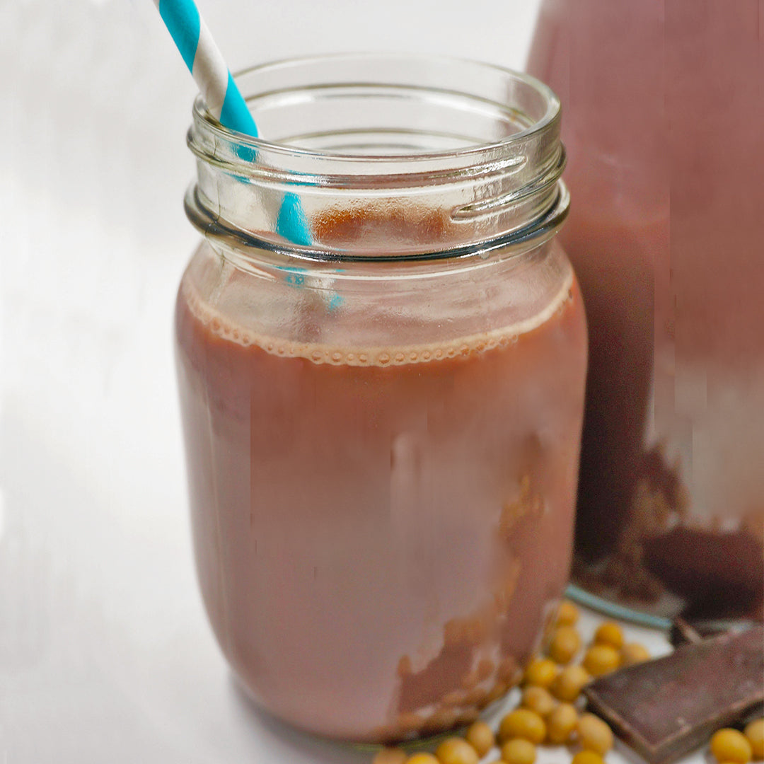 Ace Blender Chocolate Soy Milk Instant Pot