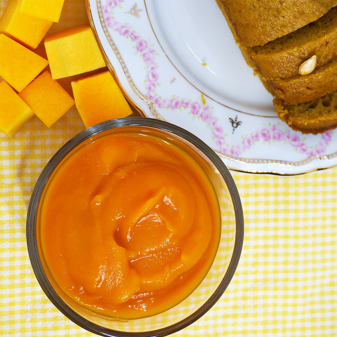 Ace Blender - Pumpkin Puree