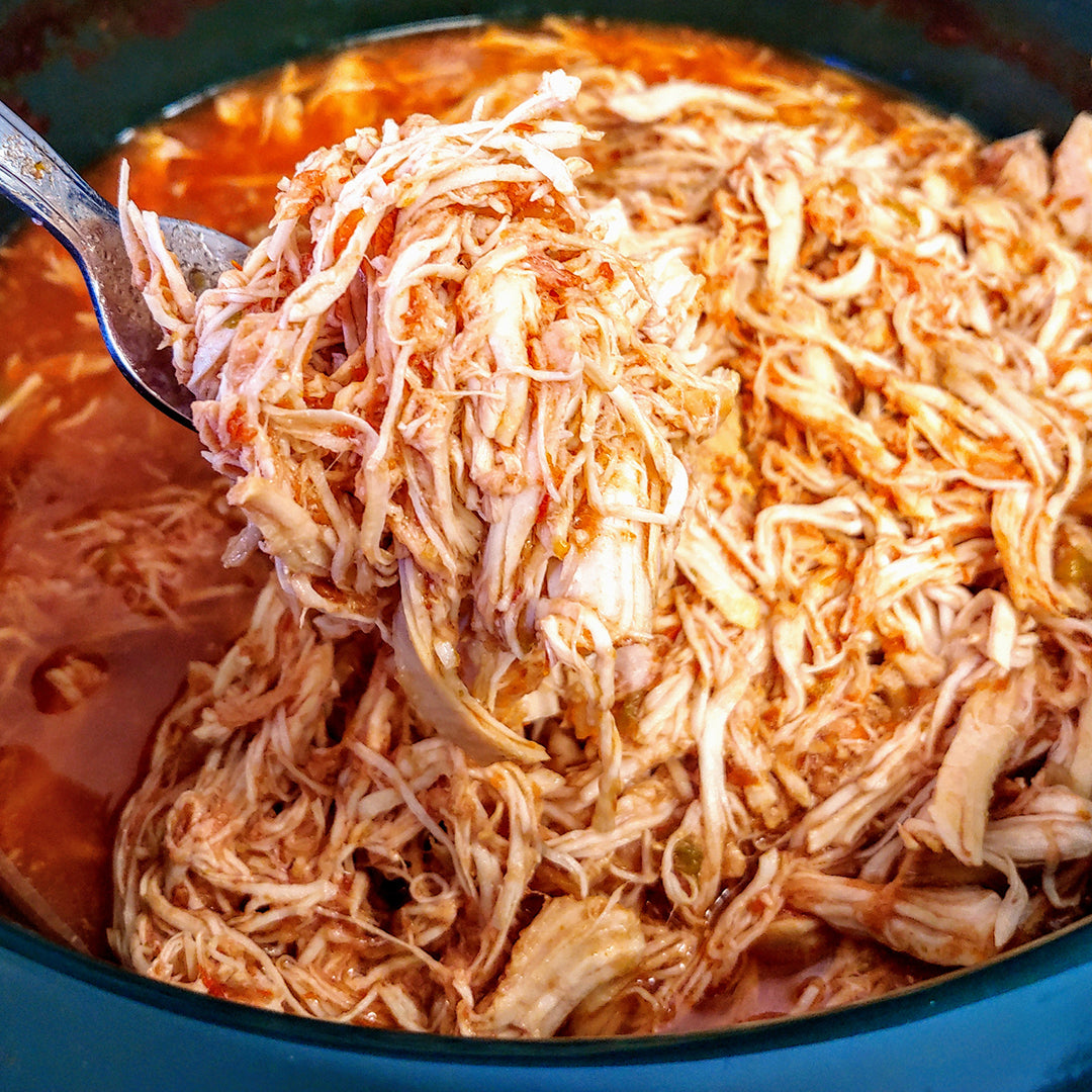 Salsa Chicken