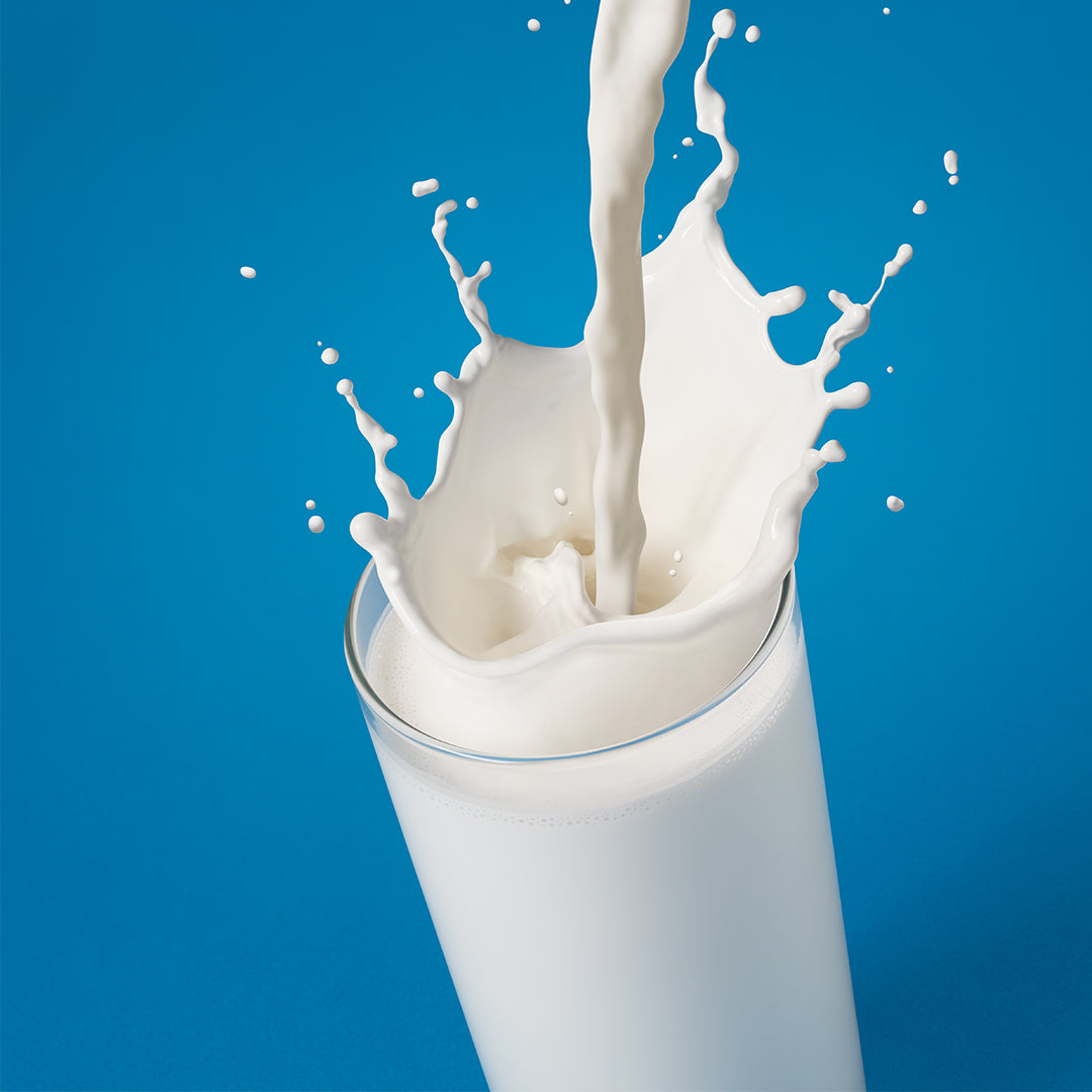 Ace Blender - Rice Milk