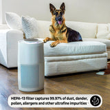  Air Purifier Replacement Filter - Large