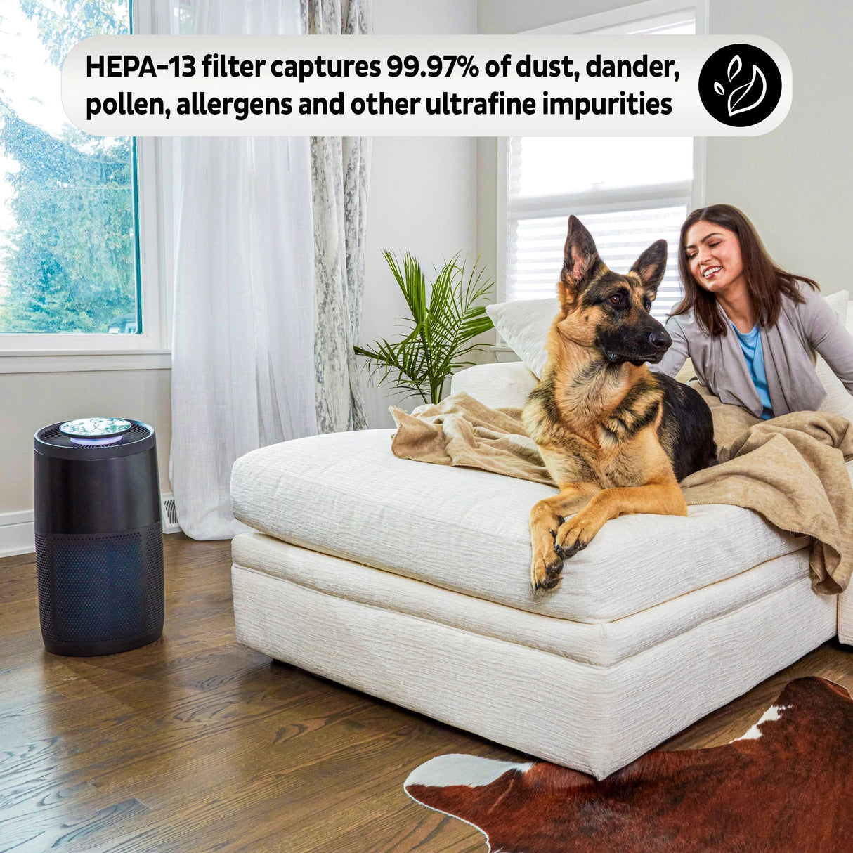  Instant Air Purifier, Large, Charcoal in the livingroom with dog on bed