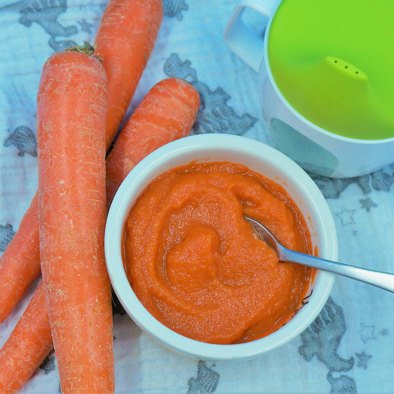 Ace Blender Carrot Baby Food Instant Pot