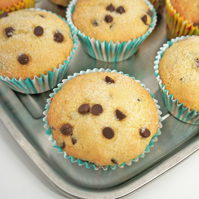 Ace Blender Chocolate Chip Blender Muffins Instant Pot