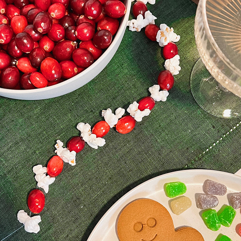 Coconut Oil Popcorn and Cranberry Garland