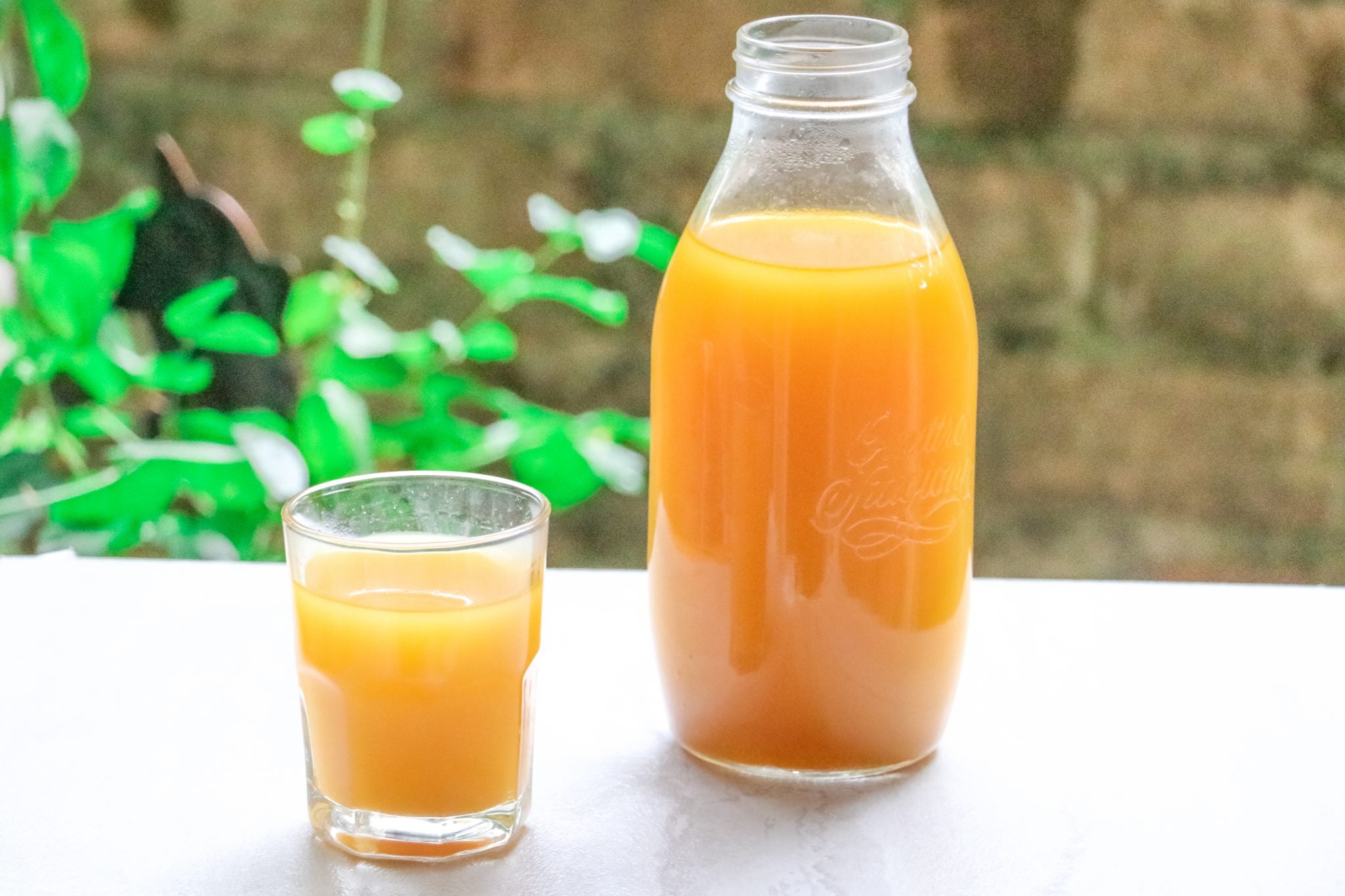 Vegetable Broth, Sipping Broth