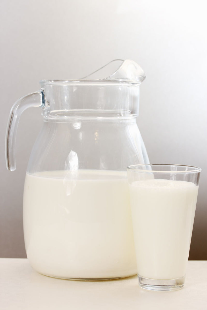 Ace Blender Soy Milk Instant Pot