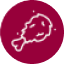 Icon image of a chicken bone