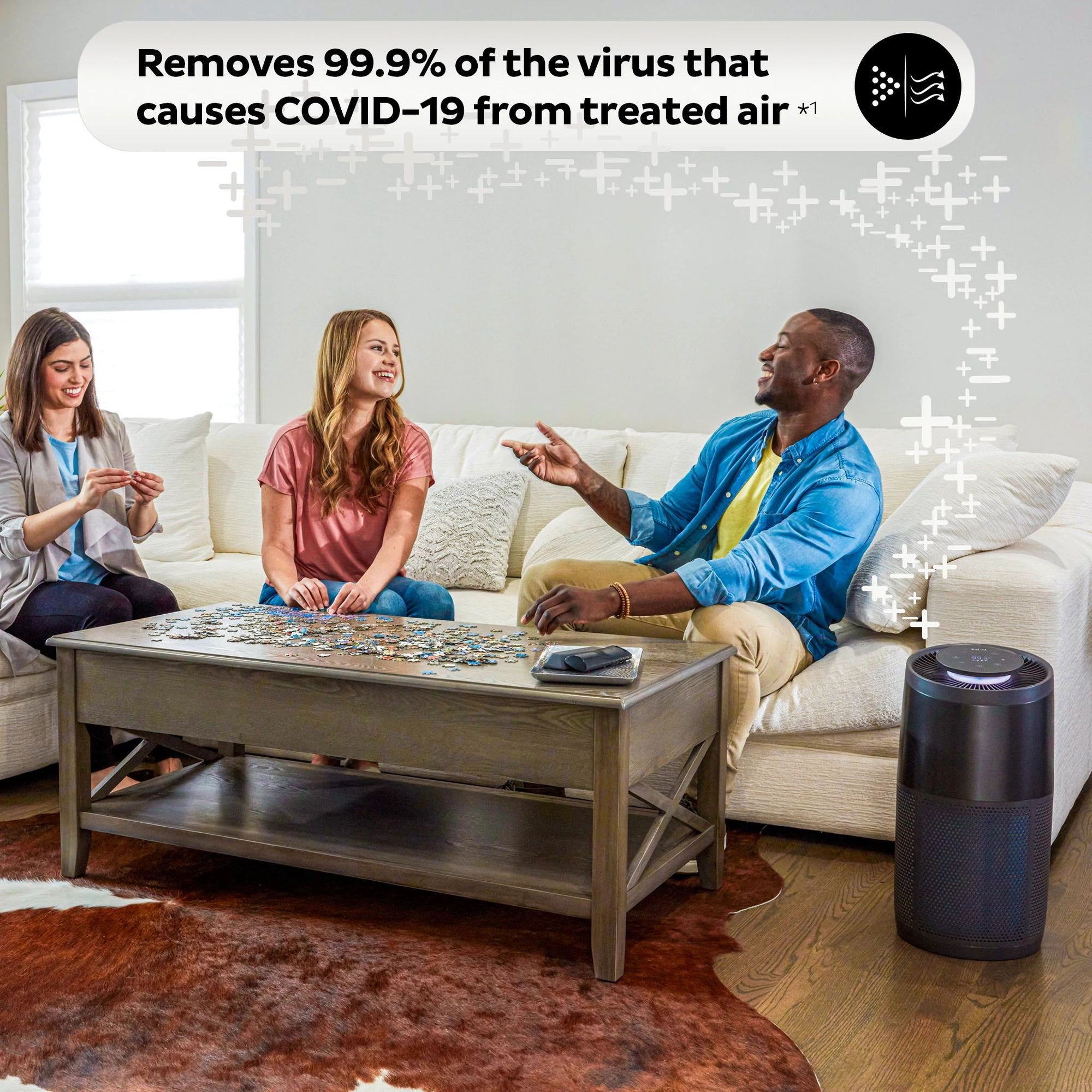  Instant Air Purifier, Large, Charcoal being used in living room