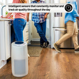  Instant Air Purifier, Large, Pearl in the kitchen