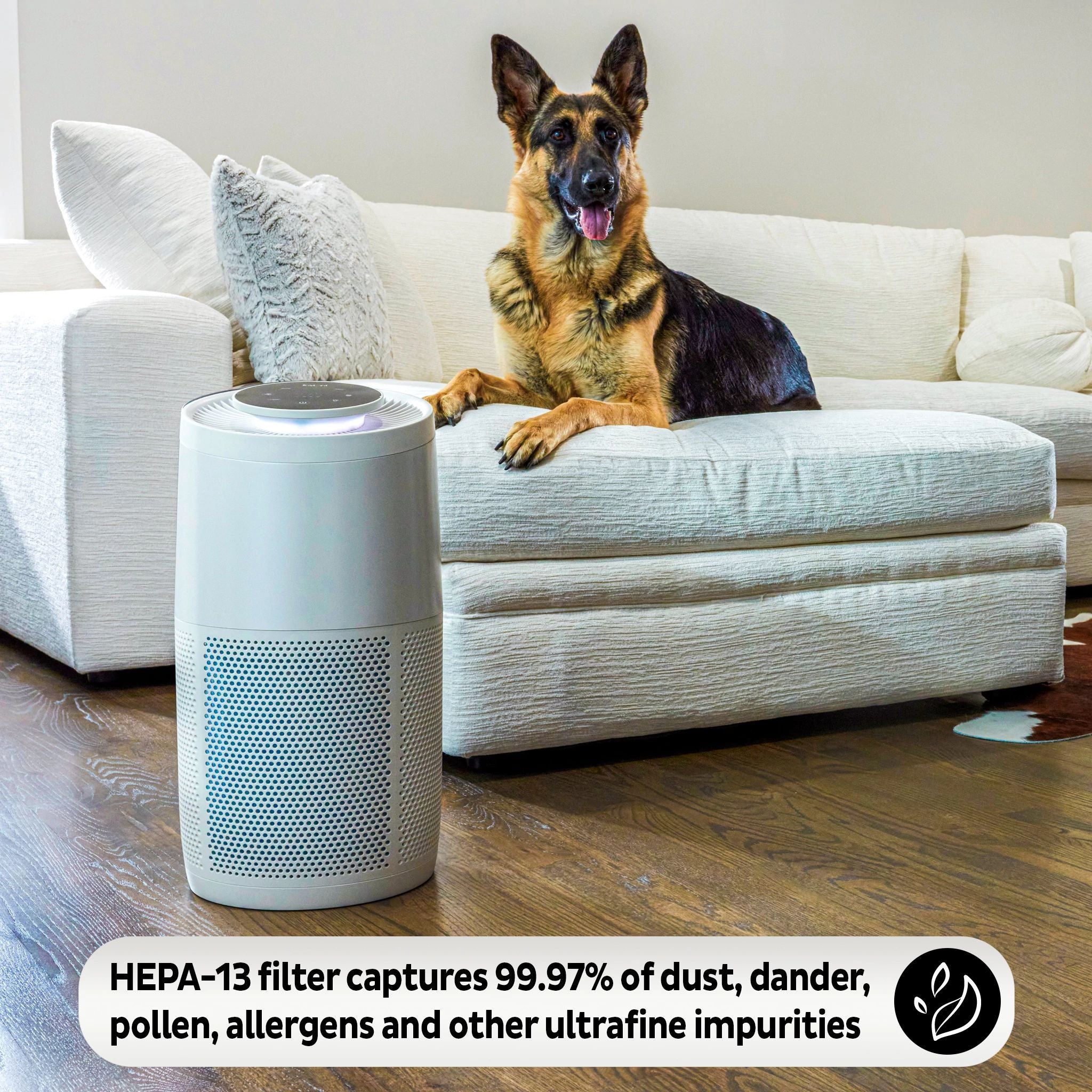 Instant online air filter