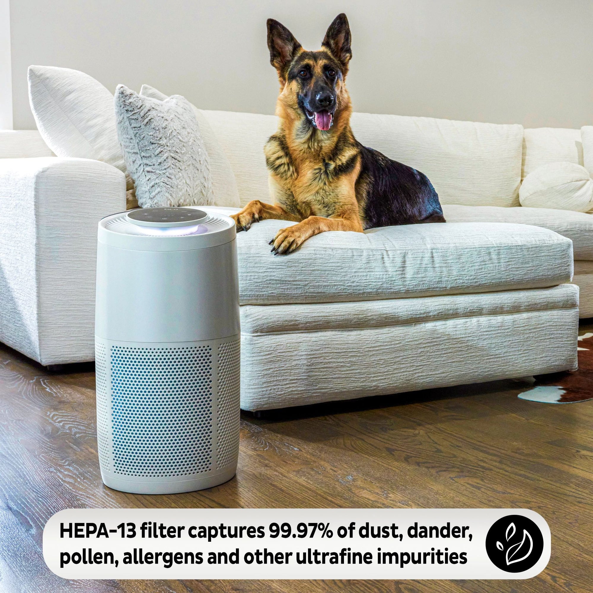  Instant Air Purifier, Large, Pearl a dog on the couch